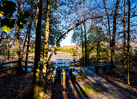 Mason Neck